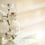 Il mondo dei fiori per le donne