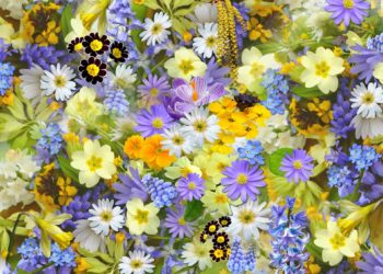 I 10 fiori primaverili