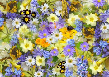 Il linguaggio dei fiori