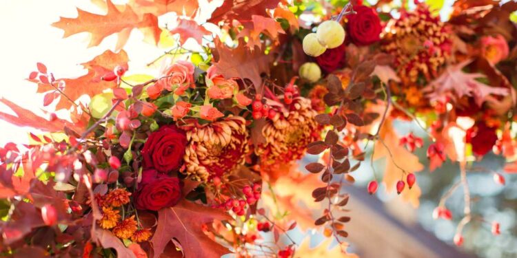 I fiori di autunno: Un trionfo di colori e profumi